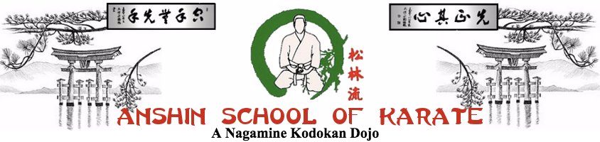 Anshin School of Karate